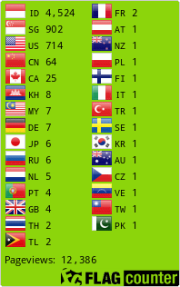 Flag Counter